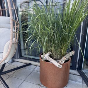 Red Glow Cirkelkumme M-L