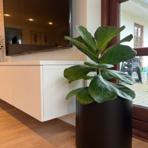 Sapphire Cirkelkumme - Sort Finstruktur overflade