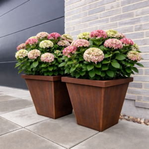 Red Glow Trapez kumme m/udaf bukket kant, udstillingsvarer