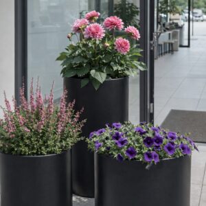 Sapphire Cirkelkumme – Sort Finstruktur overflade - Pakke