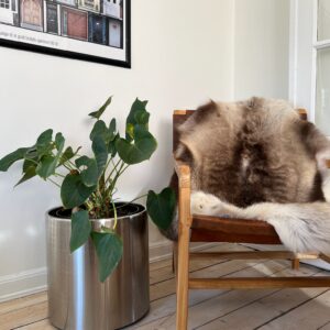 Silver Cirkelkumme Ø37 H36