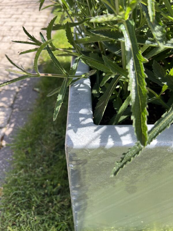 Violet Galvaniseret Plantekasse - L100cm, B50cm, H40cm, u/bund. - Billede 2